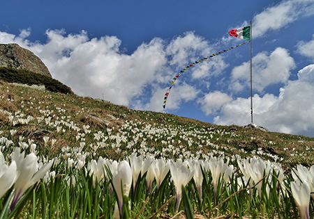 Alla Bocchetta di Budria (2216 m) al Rifugio Balicco e Bivacco Zamboni ad anello il 28 maggio 2021- FOTOGALLERY